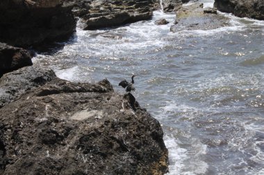 Burası Coll den Rebassa Sahili. Mallorca Adası. İspanya