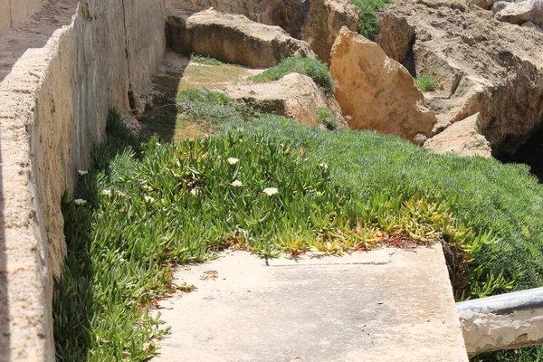 Burası Coll den Rebassa Sahili. Mallorca Adası. İspanya