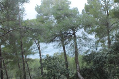 Burası Valldemossa Limanı. Mallorca Adası. Balear adaları. İspanya