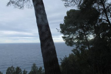 Burası Valldemossa Limanı. Mallorca Adası. Balear adaları. İspanya