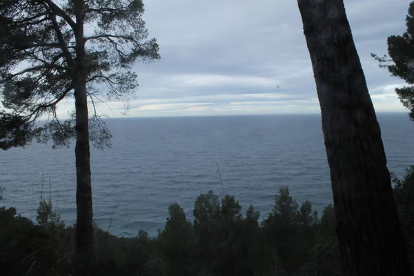 Burası Valldemossa Limanı. Mallorca Adası. Balear adaları. İspanya