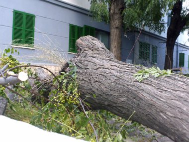 Kasırga gününden sonra