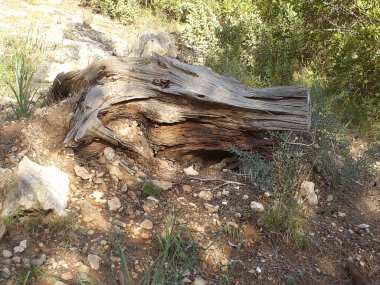 Burası Bellver Kalesi.