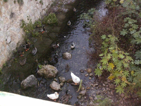 Dies Ist Das Dorf Soller Auf Der Baleareninsel — Stockfoto