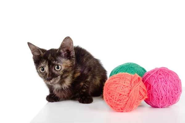 Cat and clews or balls — Stock Photo, Image