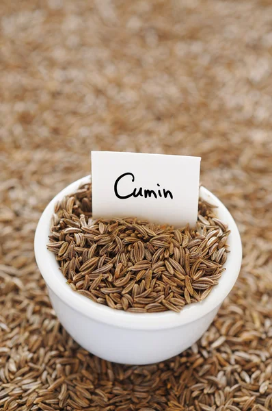 Dried Cumin — Stock Photo, Image