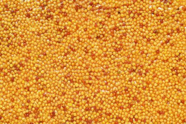 Fransız dijon hardalının aşırı yakın çekimi. Doku veya arkaplan olarak kullanılabilir.