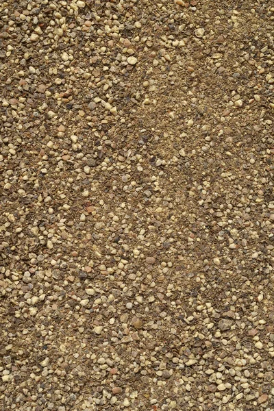Ground Textura Pimenta Preta Fundo Quadro Completo — Fotografia de Stock