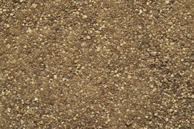 Yerden siyah biber dokusu, tam çerçeve arkaplan.