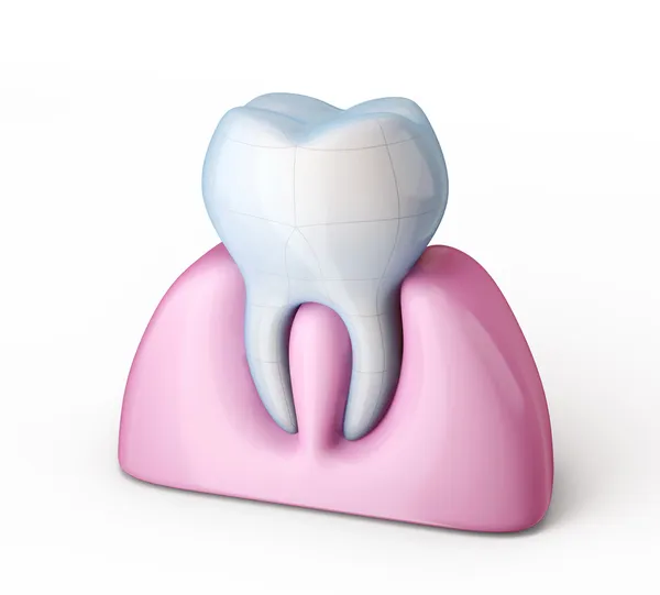 Tooth — Stock Photo, Image