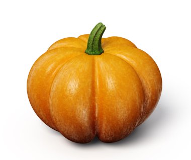 balkabağı