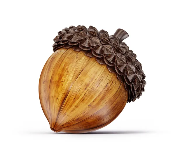 Acorn — Stock Photo, Image