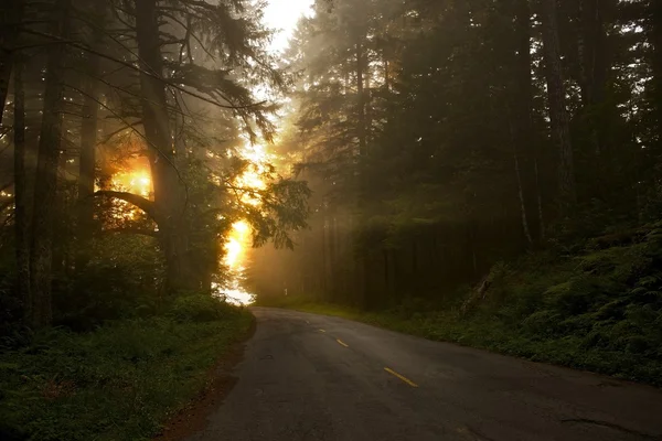 Weg zur Sonne — Stockfoto