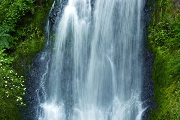 Primer plano de la cascada — Foto de Stock