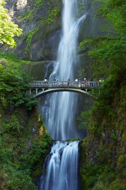 Multnomah Falls Oregon clipart