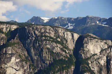 stawamus şefi