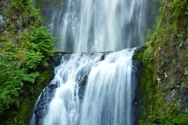 Multnomah Waterfalls clipart