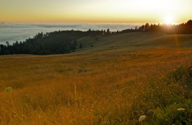 Redwood Hills California