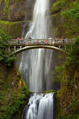 Multnomah falls