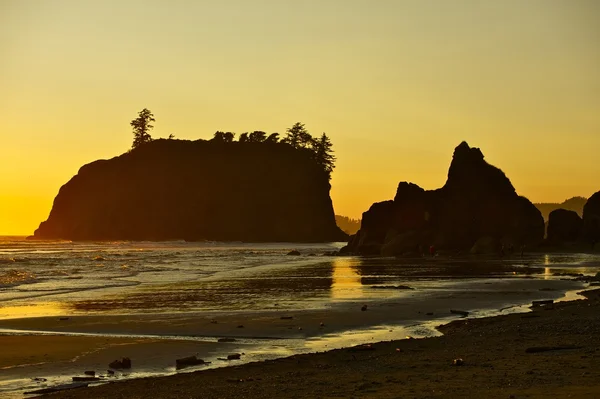 Washington Coast EUA — Fotografia de Stock