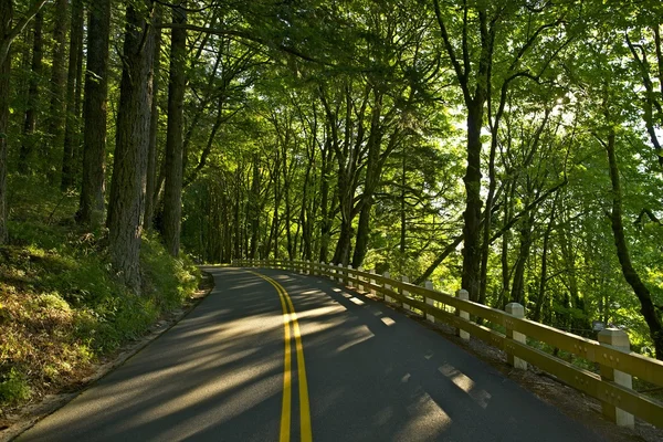 Oregon US 30 Highway — Stock Photo, Image