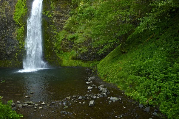 Wasserfall — Stockfoto