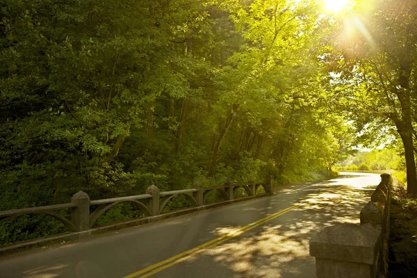 オレゴンの道 — ストック写真