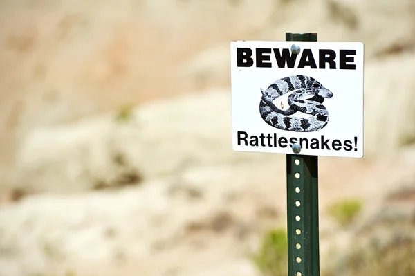 Beware van ratelslangen — Stockfoto