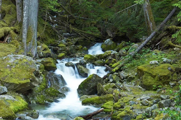 Malý potok vodopády — Stock fotografie