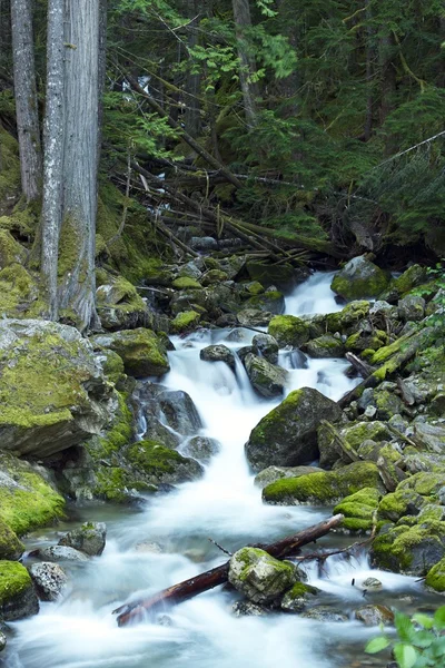 Torrente di montagna rocciosa — Foto Stock