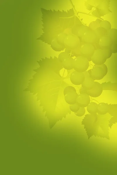 Grapes Background — Stock Photo, Image