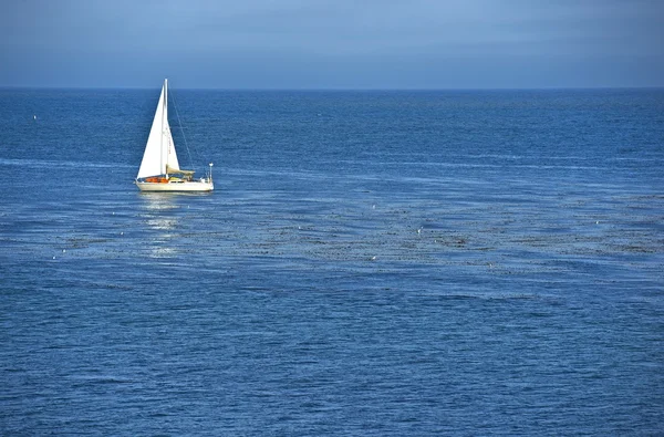 Sailing Theme — Stock Photo, Image