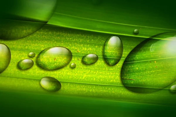 Gotas de água — Fotografia de Stock