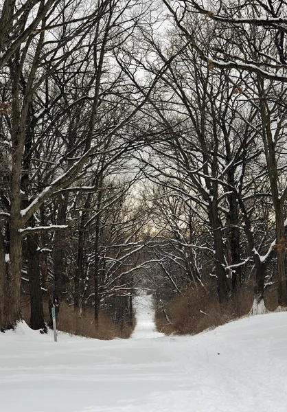 Besneeuwde trail — Stockfoto