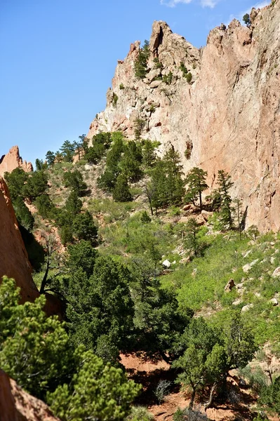 Şaşırtıcı colorado — Stok fotoğraf