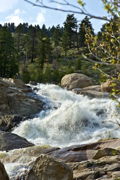 Colorado rocky vattenfall — Stockfoto