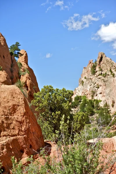 Summer in Colorado — Stock Photo, Image