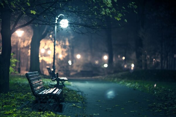 Ночь в парке
