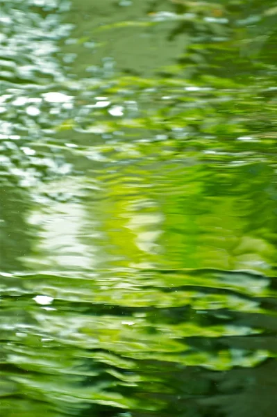 Grønt vann – stockfoto