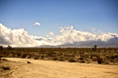 Sierra Nevada
