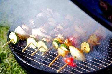 tavuk şiş kebap