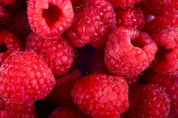 Raspberry Closeup — Stock Photo, Image