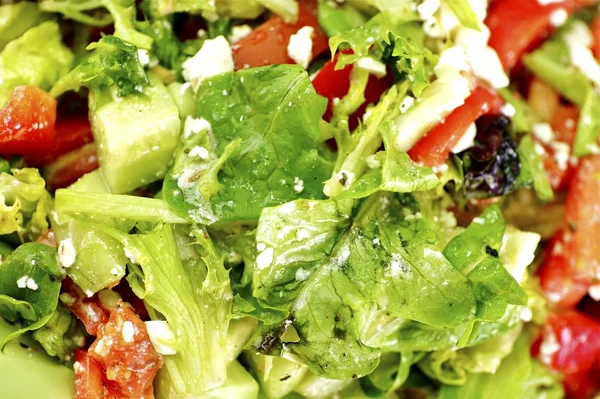 Dieta fresca Salada de legumes — Fotografia de Stock