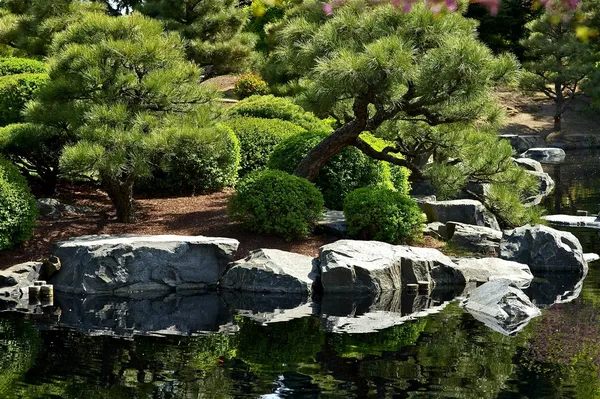 Japansk trädgård med damm — Stockfoto