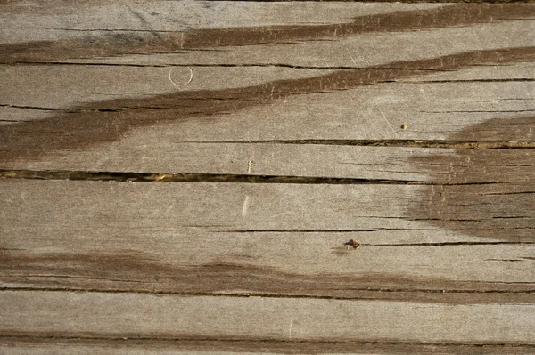 Cracked Wood Texture — Stock Photo, Image