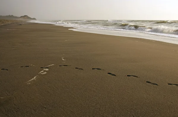 Pacific zandstrand — Stockfoto