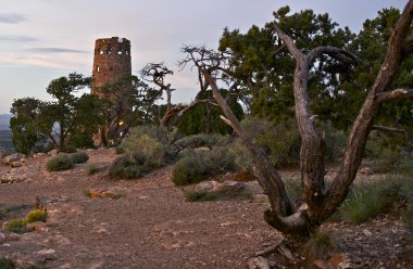 Gözlem Kulesi arizona