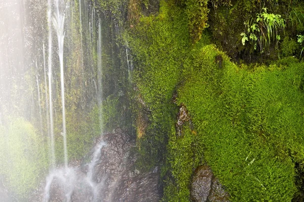 Mossy Waterfall Closeup — Stock Photo, Image