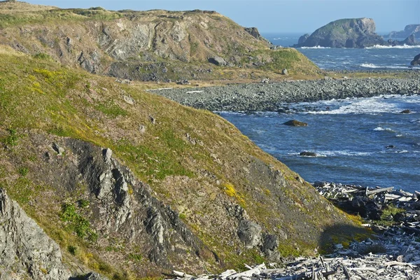 Noord-Californië pacific — Stockfoto