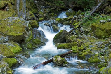 North Cascades Creek